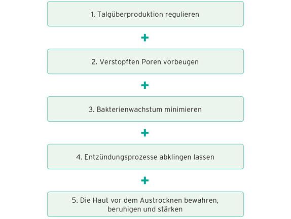 Die Wirkung der Santaverde pure Produkte im Überblick